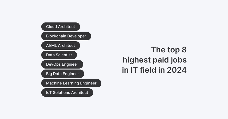 The top 8 highest paid jobs in the IT field in 2024