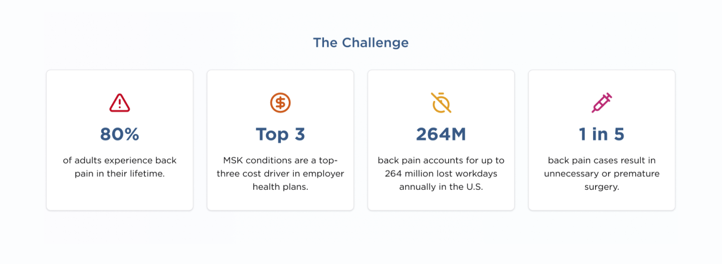 The challenge MyBackHub solves