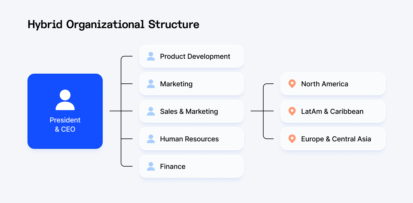 Hybrid organizational structure